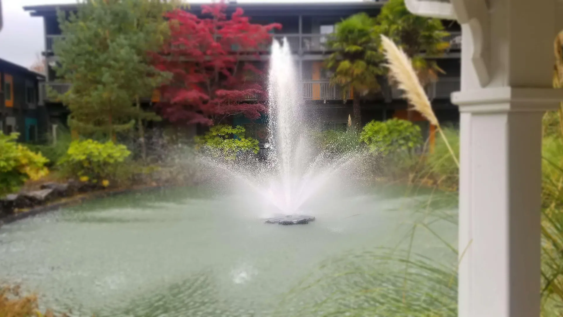 Best Western Portland West Beaverton Hotel