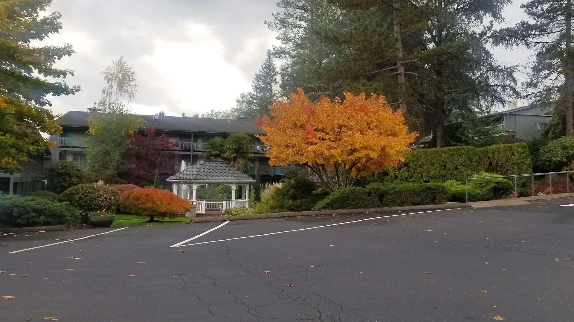 Best Western Portland West Beaverton 3*,  United States